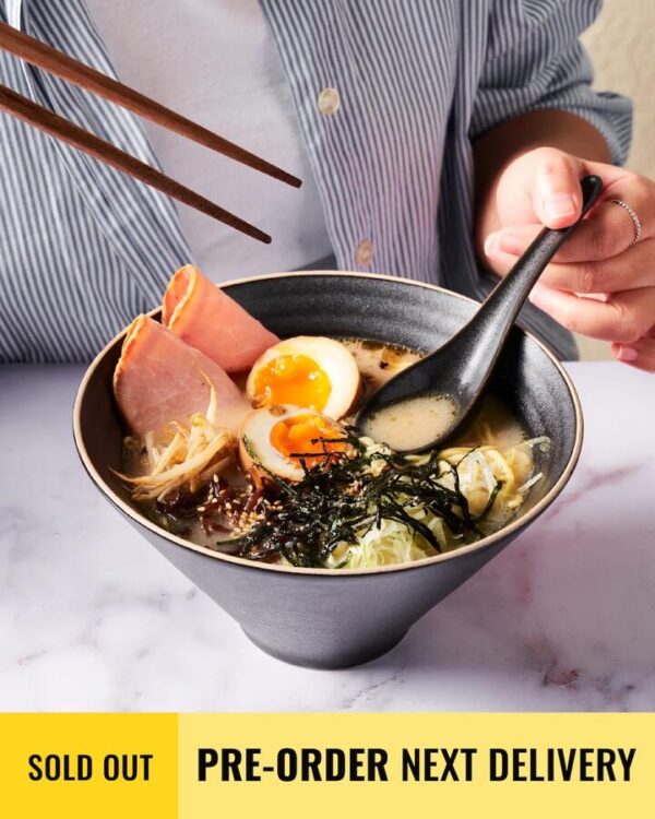 Anaya Charcoal Noodle Bowl Set of 4