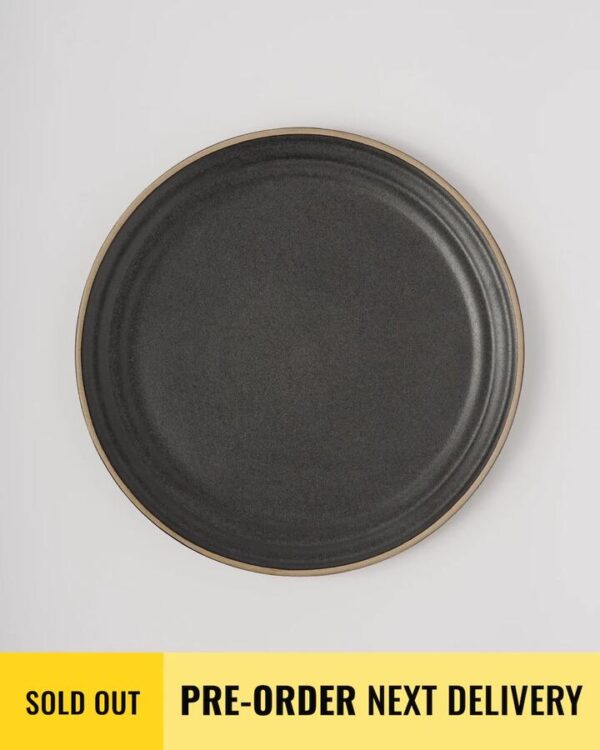 Anaya Charcoal Dinner Plate Set of 4