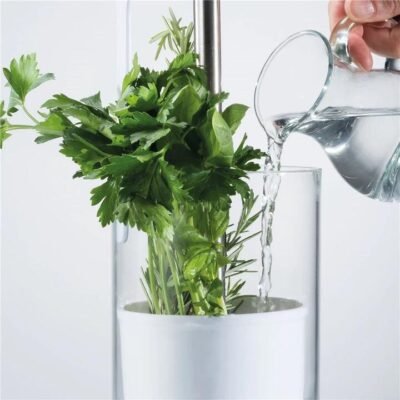 Cuisine::pro Savor Herb Keeper