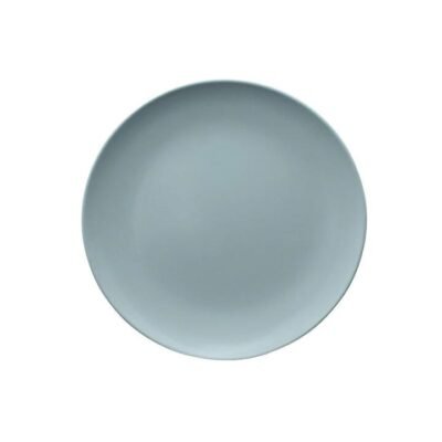 Colour Melamine Dinner Plate Size 25X25X2cm in White by Serroni-White
