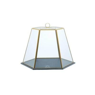 Artesa Serving Cloche